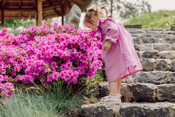 Child girl in blooming summer garden smells a pink flowers.