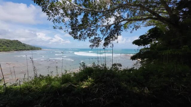 Paradise on the Pacific coast, natural sandy beach and palm trees in Costa Rica