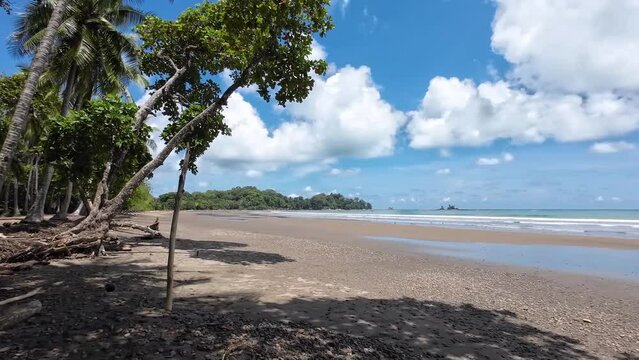 Paradise on the Pacific coast, natural sandy beach and palm trees in Costa Rica