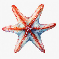 Watercolor Popular Starfish, clipart Illustration, Generative Ai