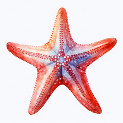 Watercolor Popular Starfish, clipart Illustration, Generative Ai