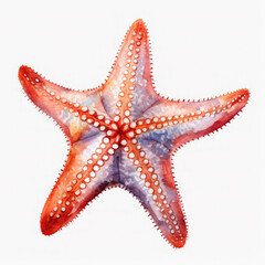 Watercolor Popular Starfish, clipart Illustration, Generative Ai