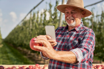 Senior farmer taking photo of held apple