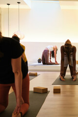 A group of people are practicing ustrasana or camel yoga pose in a room. Yoga class.