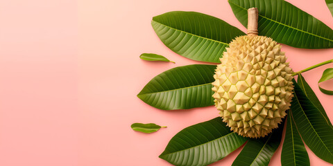 Whole durian on pink backdrop with green leaves and copy space, suitable for food blogs and exotic cuisine presentations