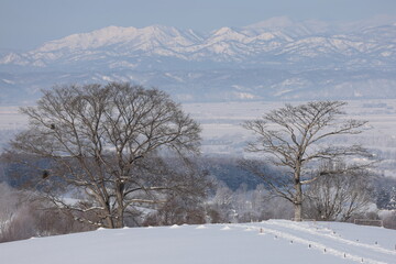 厳冬の朝、高原より見渡した霧に覆われる滝川の街並み