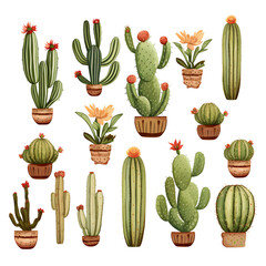 Collection of Various Cacti in Pots: Illustration of Desert Plants in Flower Pots with Flowers
