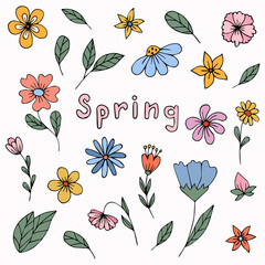 Set of spring flowers hand drawn,vector
