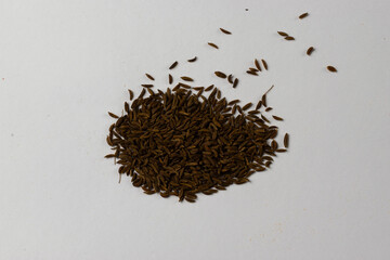 caraway seeds and white background - obrazy, fototapety, plakaty