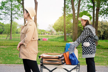 Efficient Urban Goods Transport by Modern Folding Cart