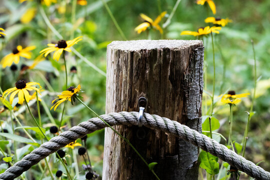 close up of the top of a fence post with rope hand rail and bright yellow wildflowers in the background