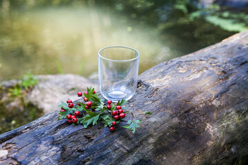 A glass transparent glass with a branch rowan stands on a log, against the backdrop of a...