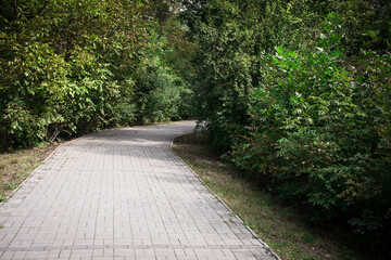 Picturesque forest path made of tiles in the city park. Image for your creative design or...