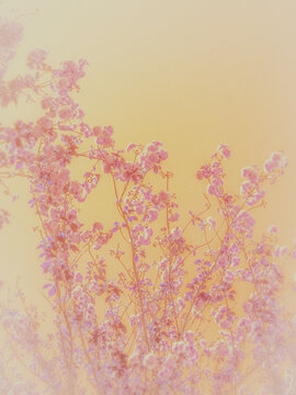 abstract floral background