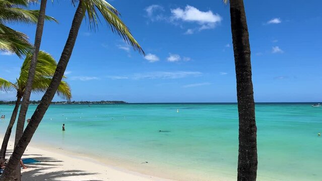 Magnificent turquoise through palm trees on Trou aux biches beach on tropical island Mauritius