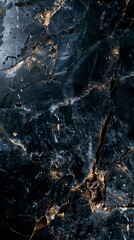 Sophisticated Luxury of Black Marble with White Veining