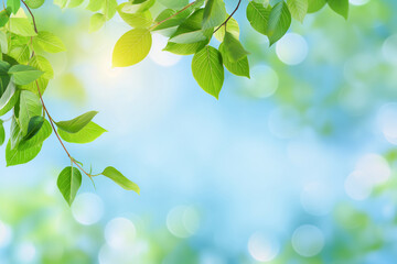 Spring background with blurred green leaves and bokeh light effect, representing a spring nature concept