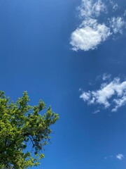 blue sky and clouds