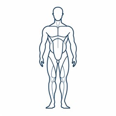 Line drawing of human body illustration for medical theme promotion