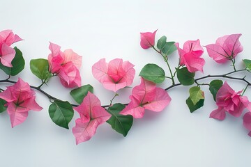 Top view of bougainvillea branch on a clean studio white surface with vibrant pink color and a big space for text or product advertisement background, Generative AI.