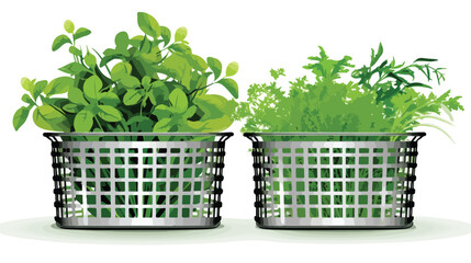 Metal basket with fresh herbs on white background Vector