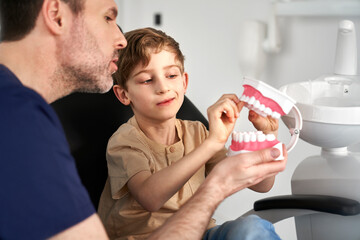Dentist showing child mouth anatomical model