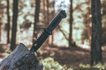 Knife in the forest. The concept of survival and survival.