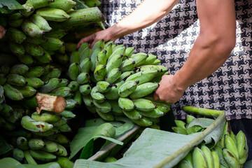selective focus lots of green bananas in the truck Always buy fresh bananas from villagers.