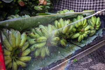 selective focus lots of green bananas in the truck Always buy fresh bananas from villagers.