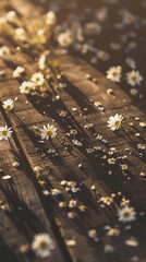 Little white flowers on a wooden background