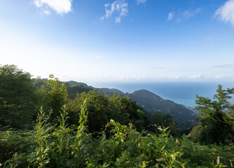 The view of the horizon of Black Sea and the green  trees at the mountains from Boztepe, Ordu