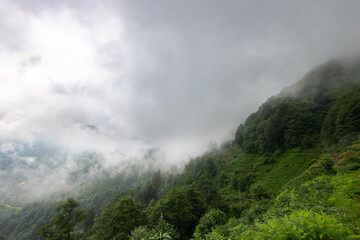 The storm clouds over the mountains and forest for purpose of web and design use