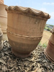 old pot, Old brown potted plants, spinning pots, isolated
