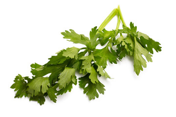bunch of celery, png file