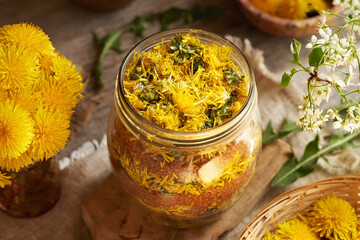 Preparation of dandelion syrup from fresh flowers and cane sugar in a jar
