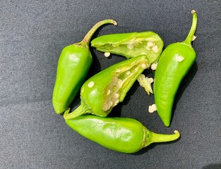 Green chili pepper. green chili pepper on background. jalapeno pepper. clipping path and full depth of field. Ripe green hot chili. 