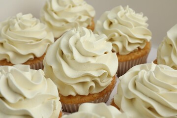 Tasty cupcakes with vanilla cream in box, closeup