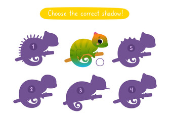 Mini game with cute chameleon for kids. Find the correct shadow of cartoon baby animal. Brainteaser for children.