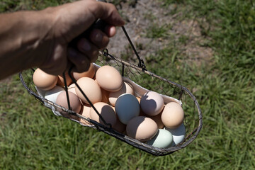 Unrecognizable standing man holds basket of chickens eggs 