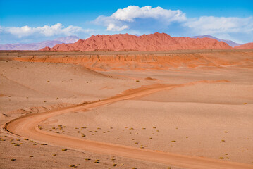 A dirt road in a red desert landscape