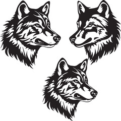 wolf head isolated on white