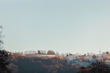 A breathtaking panoramic view of a snowy mountain looming in the background, with a forest of trees blanketed in snow in the foreground - obrazy, fototapety, plakaty