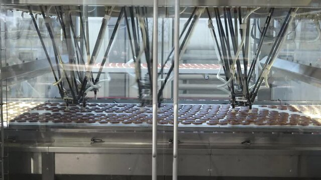 the conveyor of the confectionery factory is in operation for the production of cookies