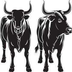 set of bulls on white background