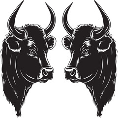 black and white bull