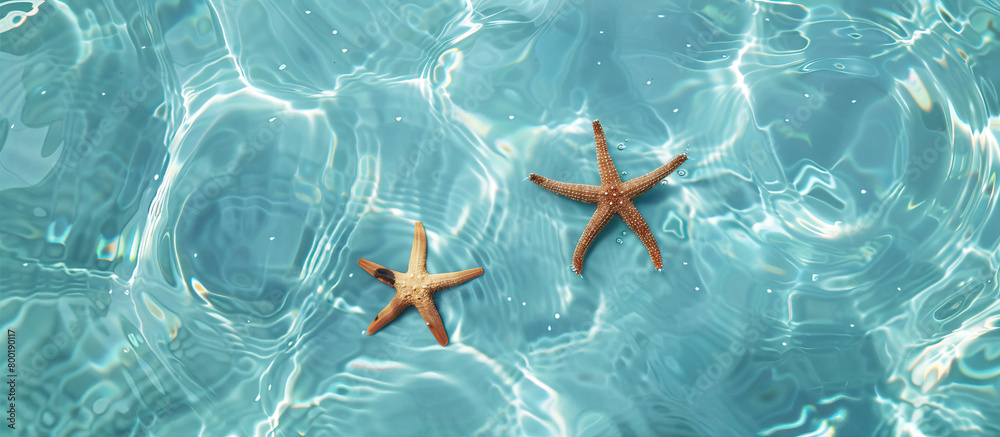 Poster starfish in the water