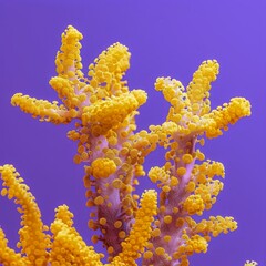 Fototapeta premium yellow corals.
