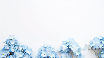 White background with blue flowers along the bottom edge
