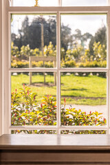 Sash window overlooking a garden