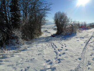 Obraz premium Chemin de montagne enneigé.